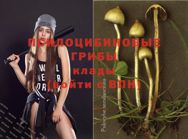 таблы Алексеевка