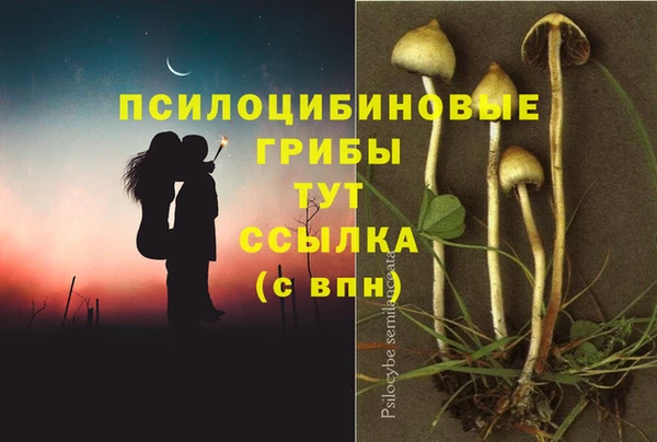 метадон Алексин